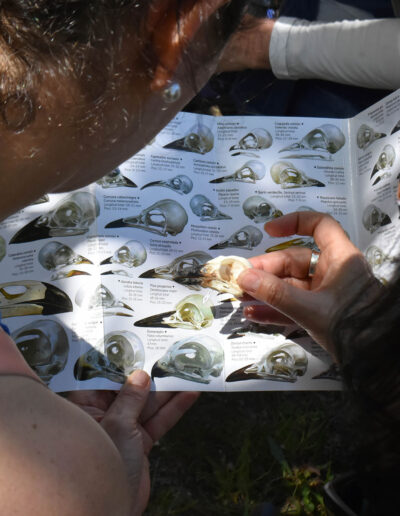 Actividades de biointerpretación con Terix en el Parque Natural de Redes