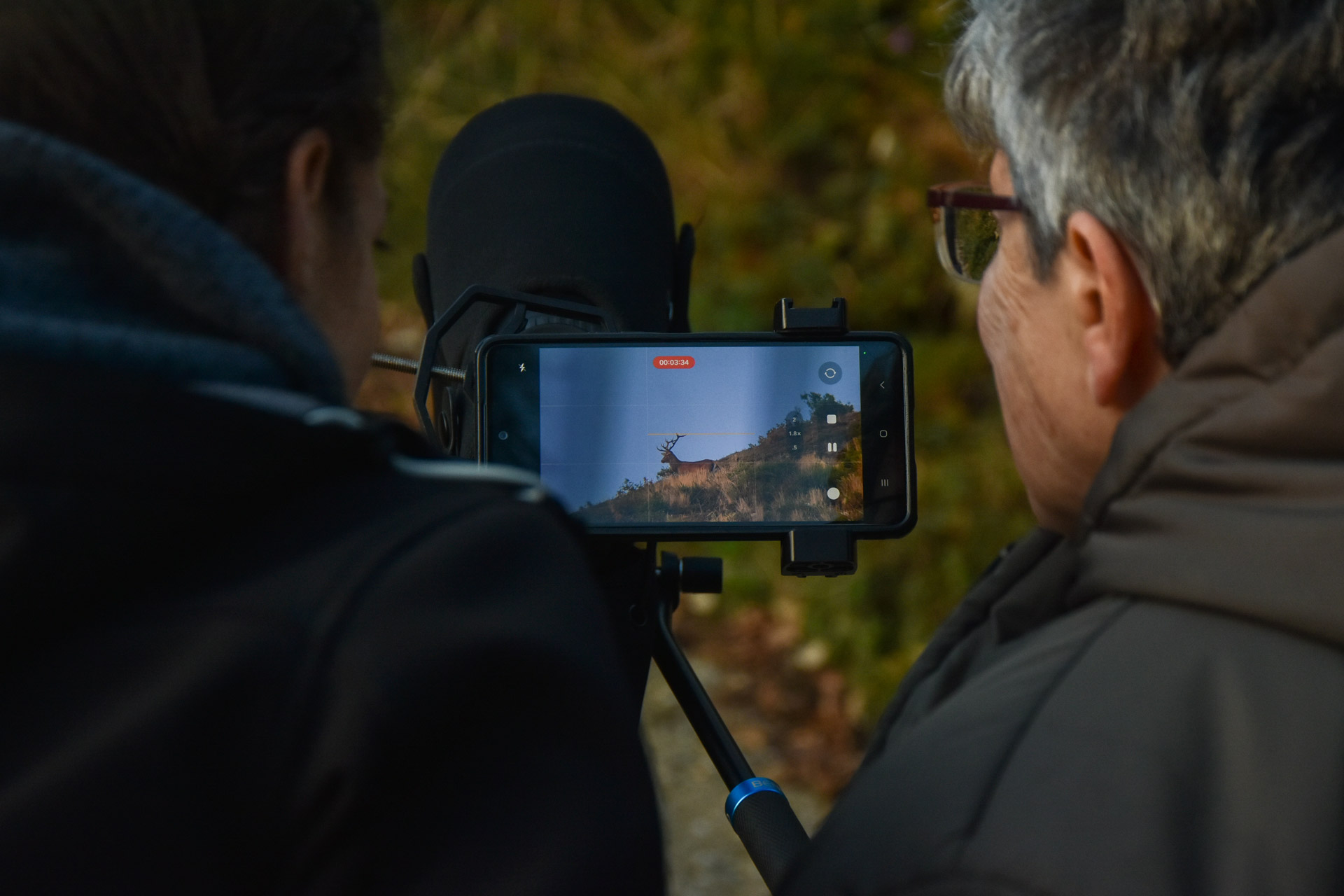Observación de la berrea en el Parque Natural de Redes