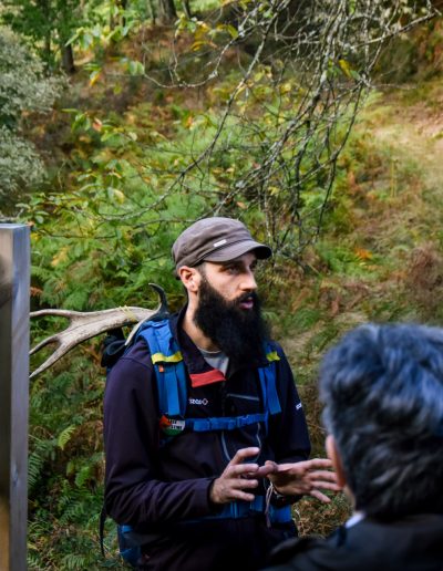 Explicación del bosque cantábrico durante la berrea