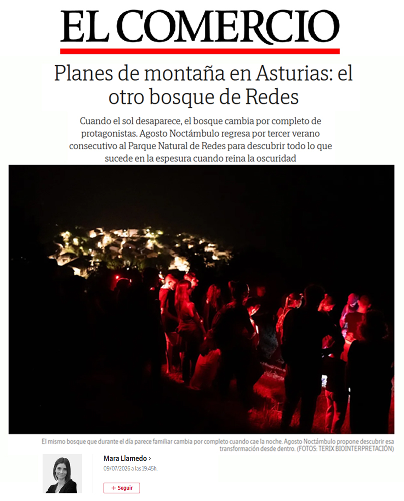 Terix_Agosto Noctambulo_El Comercio