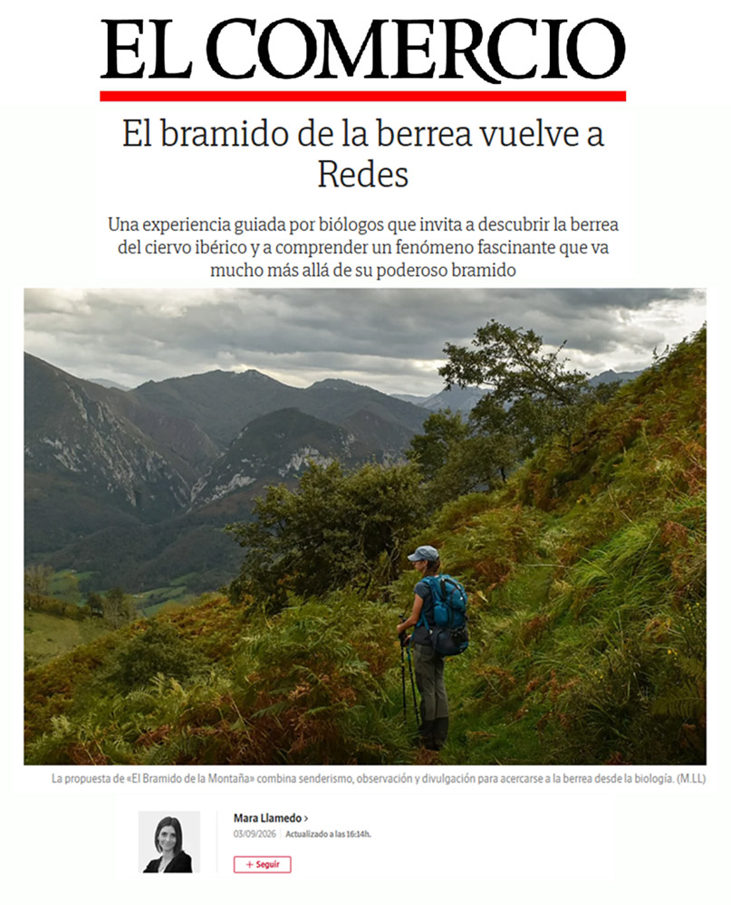 Terix_Berrea_El-Comercio